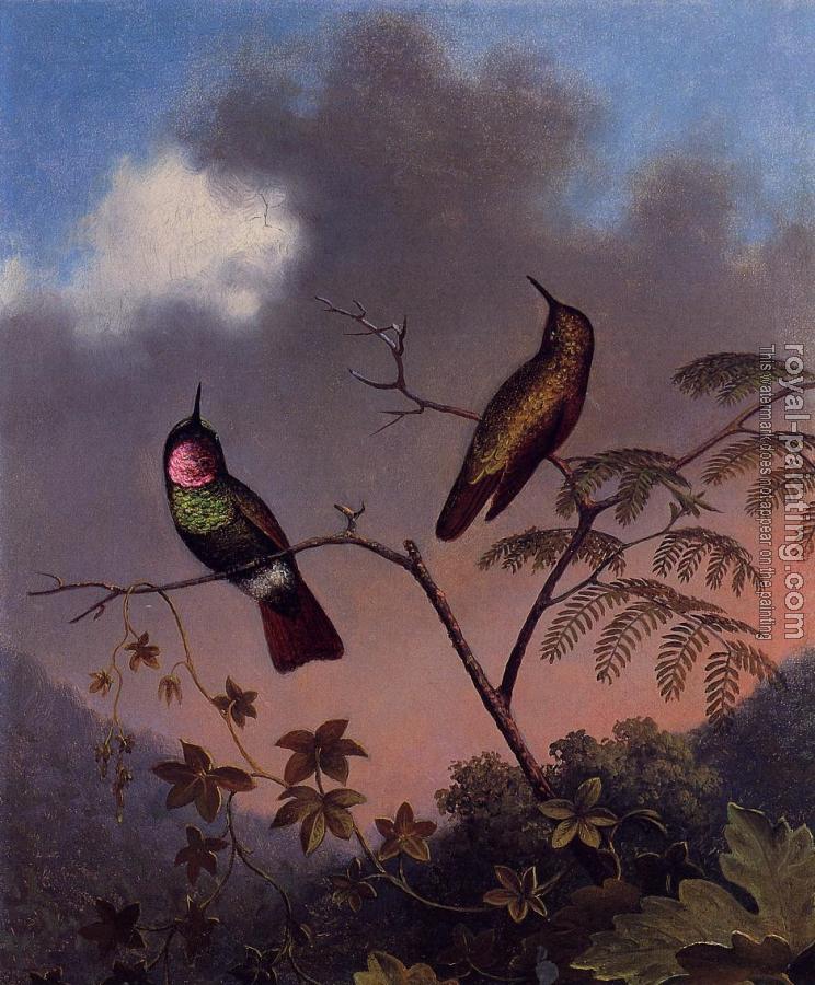 Martin Johnson Heade : Brazilian Ruby Hummingbirds